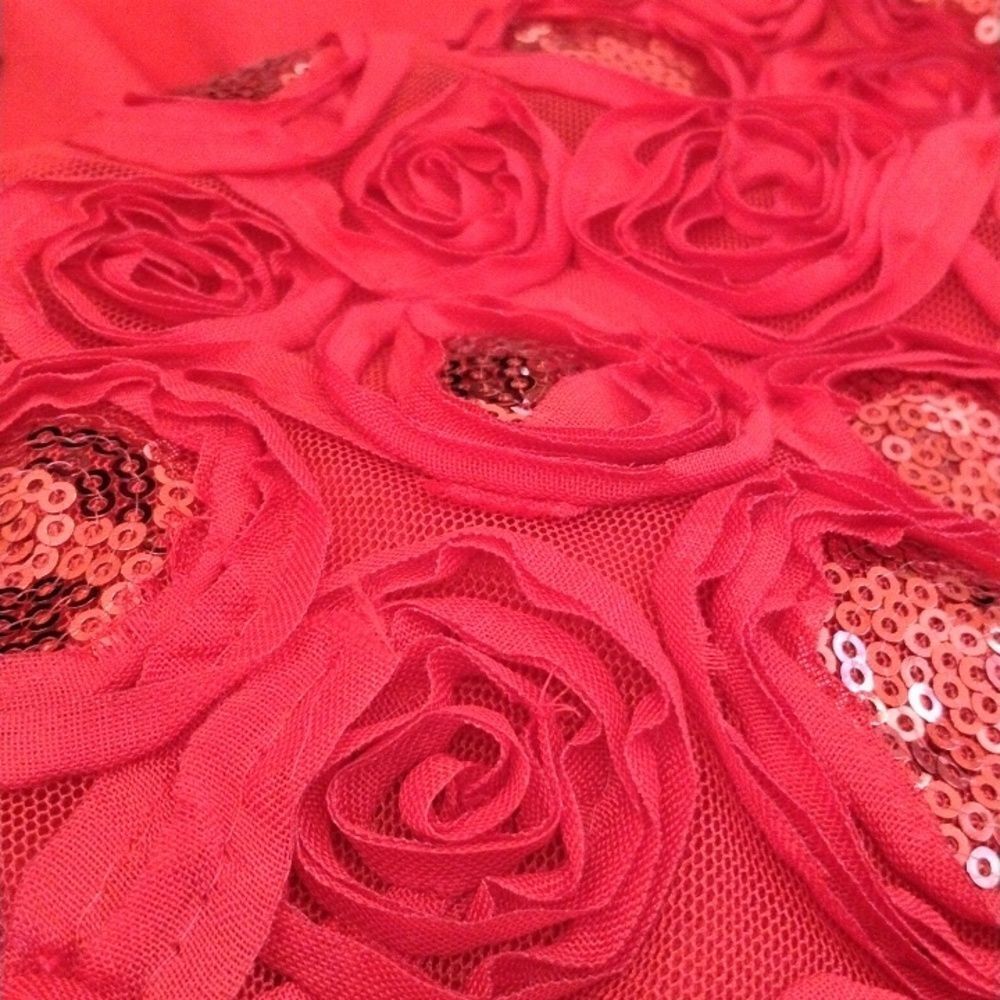 En Focus Studio Evening Dress - Picture 10 of 12